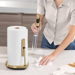 paper towel pump