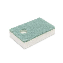 soapwell sponge